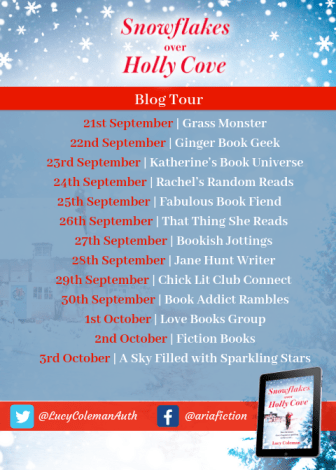 Lucy Coleman blog tour banner (1).png